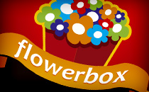 11_flowerbox